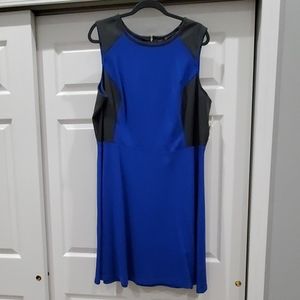 Blue and Black skater fit and flare dress